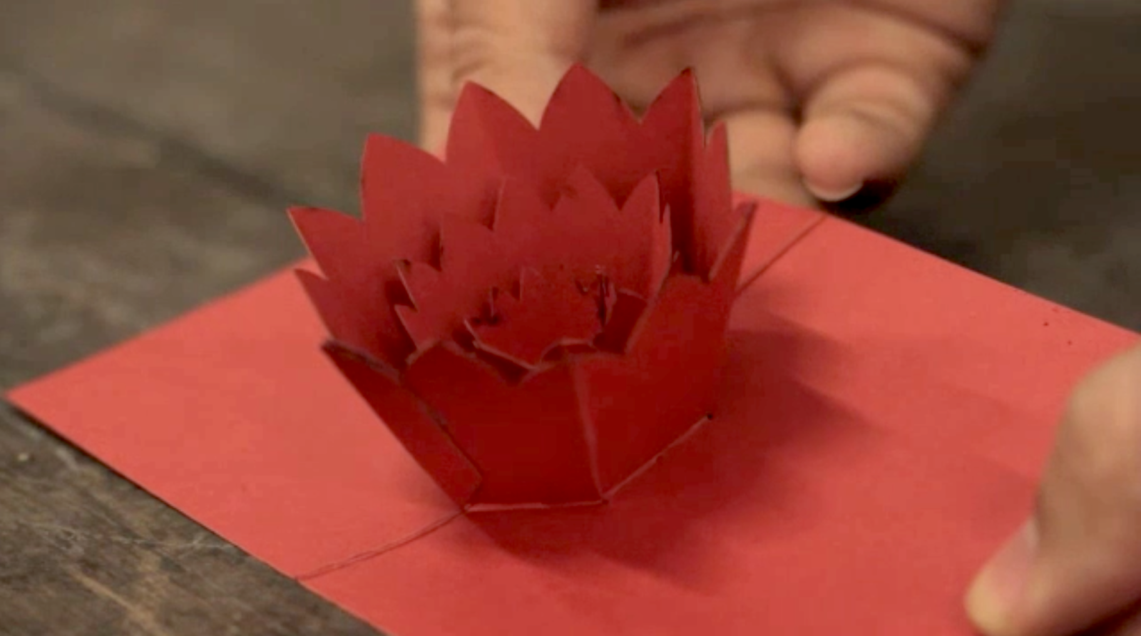 Primer plano de una tarjeta desplegable de cartulina roja de una flor.